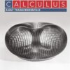 Calculus Early Transcendentals 4th Edition